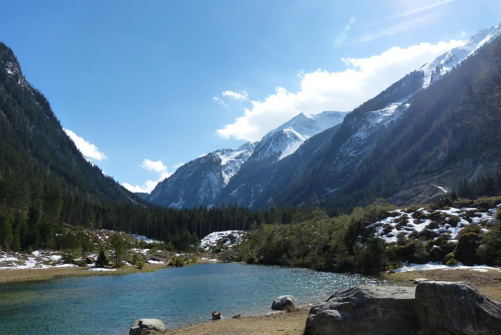 Naturpension Muehlhof Neukirchen am Großvenediger 外观 照片